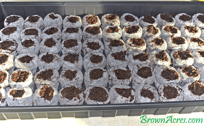 Jiffy-Seed-Starter
