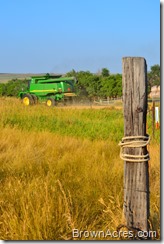IMG_2932 IMG_2932