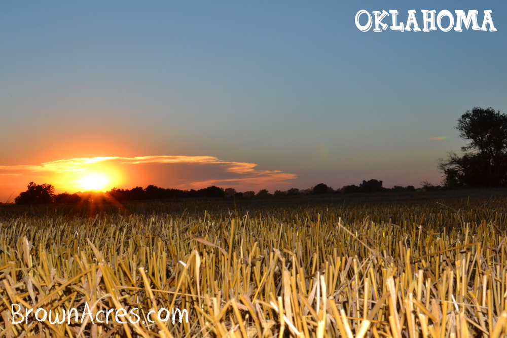 Brown-Acres-Oklahoma-Sunset