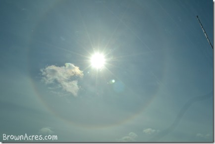 Sun-Ring Sun-Ring