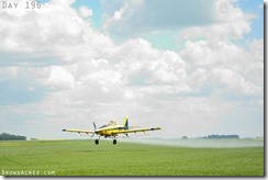 Aerial spraying fungicide on flax in North Dakota