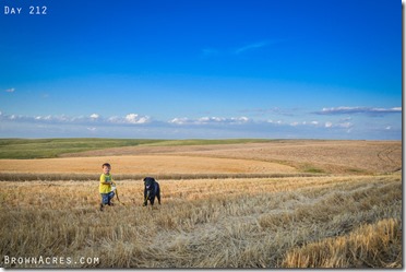 South Dakota Custom Harvesting BrownAcres.com