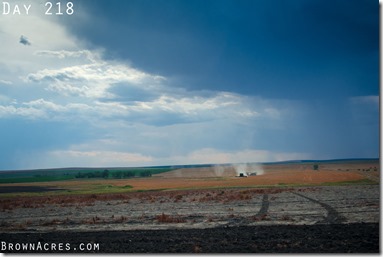 Custom Harvesting South Dakota BrownAcres.com