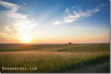 South Dakota Custom Harvesting BrownAcres.com