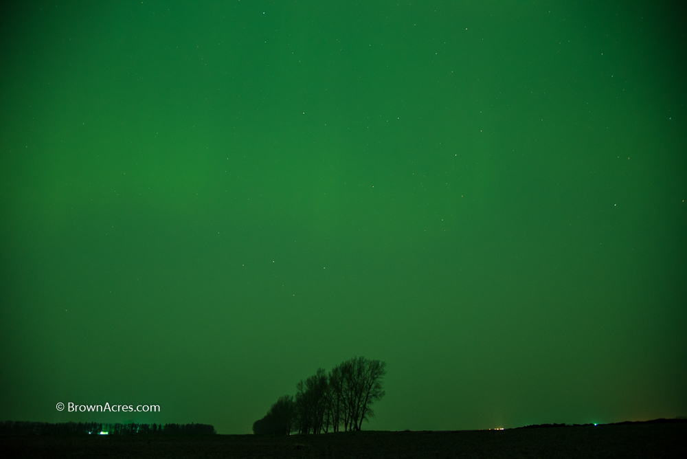 Smoky northern lights. The whole sky was green for hours!