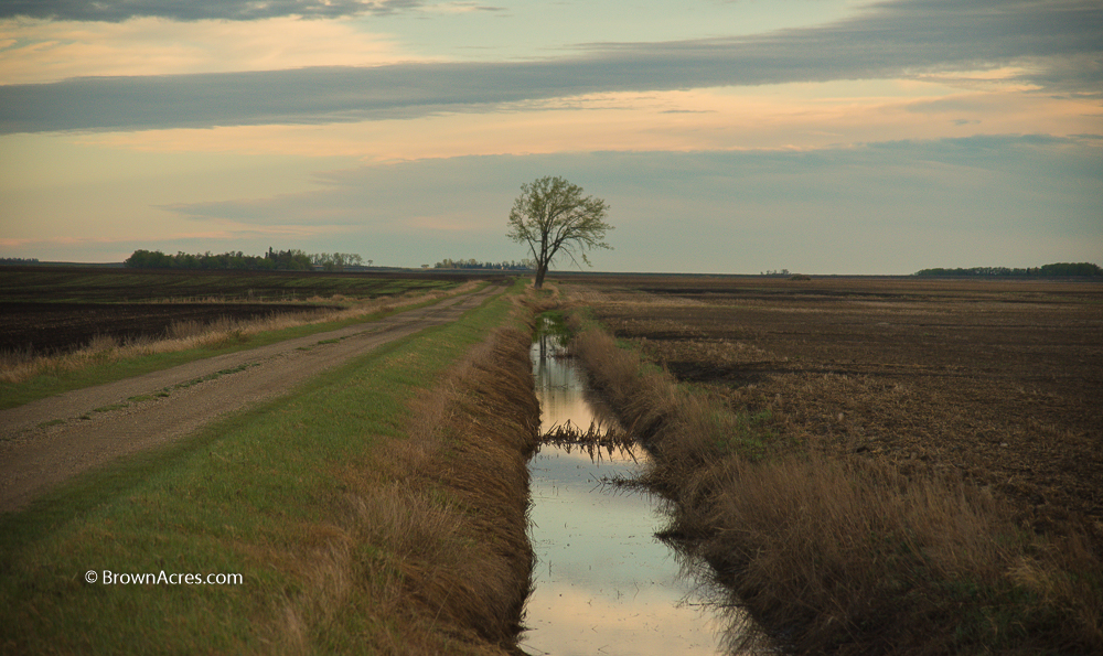 Morning Cloud Reflection on the prairie