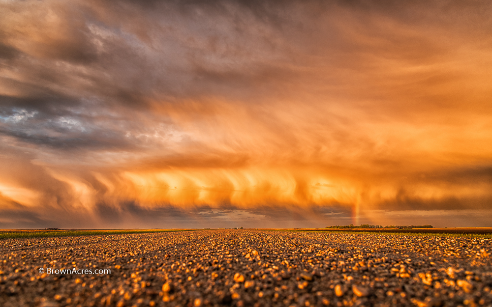 Sunrise rainshower with a rainbow on a dirt road