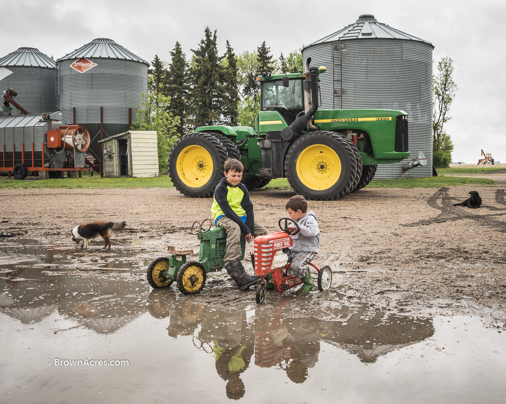 Farm boys riding John Deere and Farmall pedal tractors in a puddle. John Deere 9200 Tractor Grain Dryer Grain bins farm dog